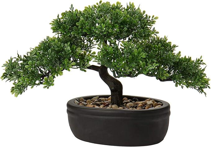 Rossmonster Bon-Sei Tree