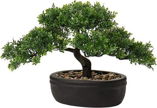 Rossmonster Bon-Sei Tree